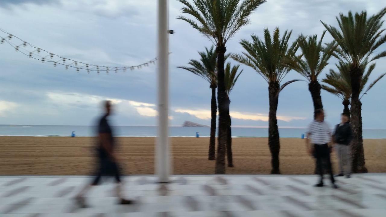 Paloma Dream Leilighet Benidorm Eksteriør bilde